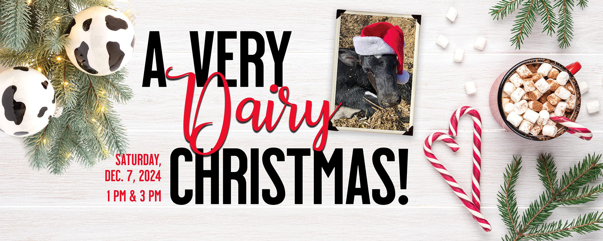 Very Dairy Christmas event, 12-7-24